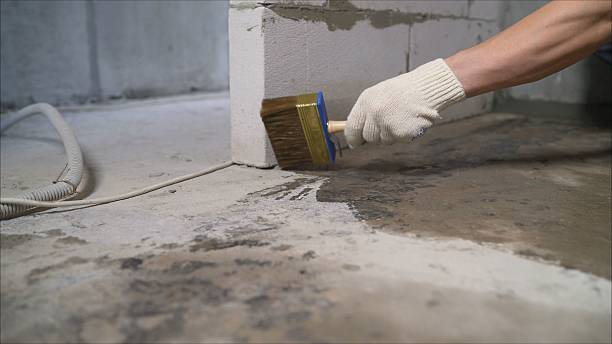 Specialized Wet Basement Repair services in Kentucky, KY